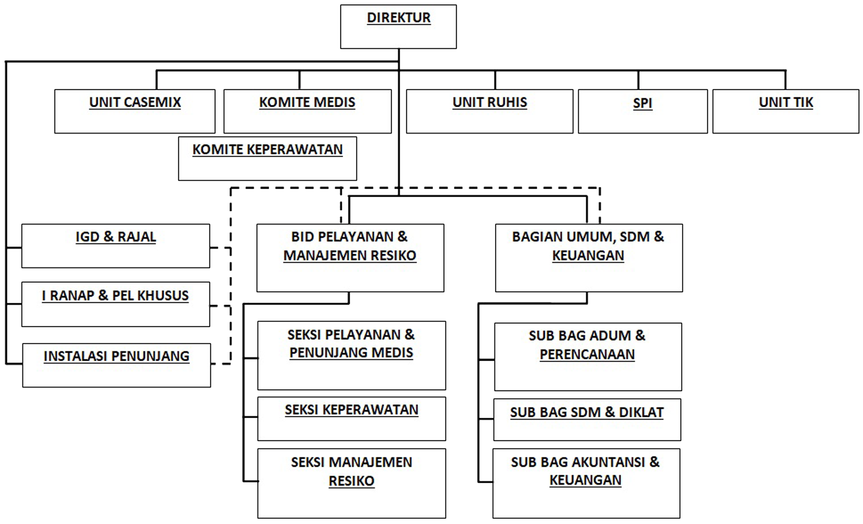 Struktur Organisasi RSI Ibnu Sina Padang Panjang